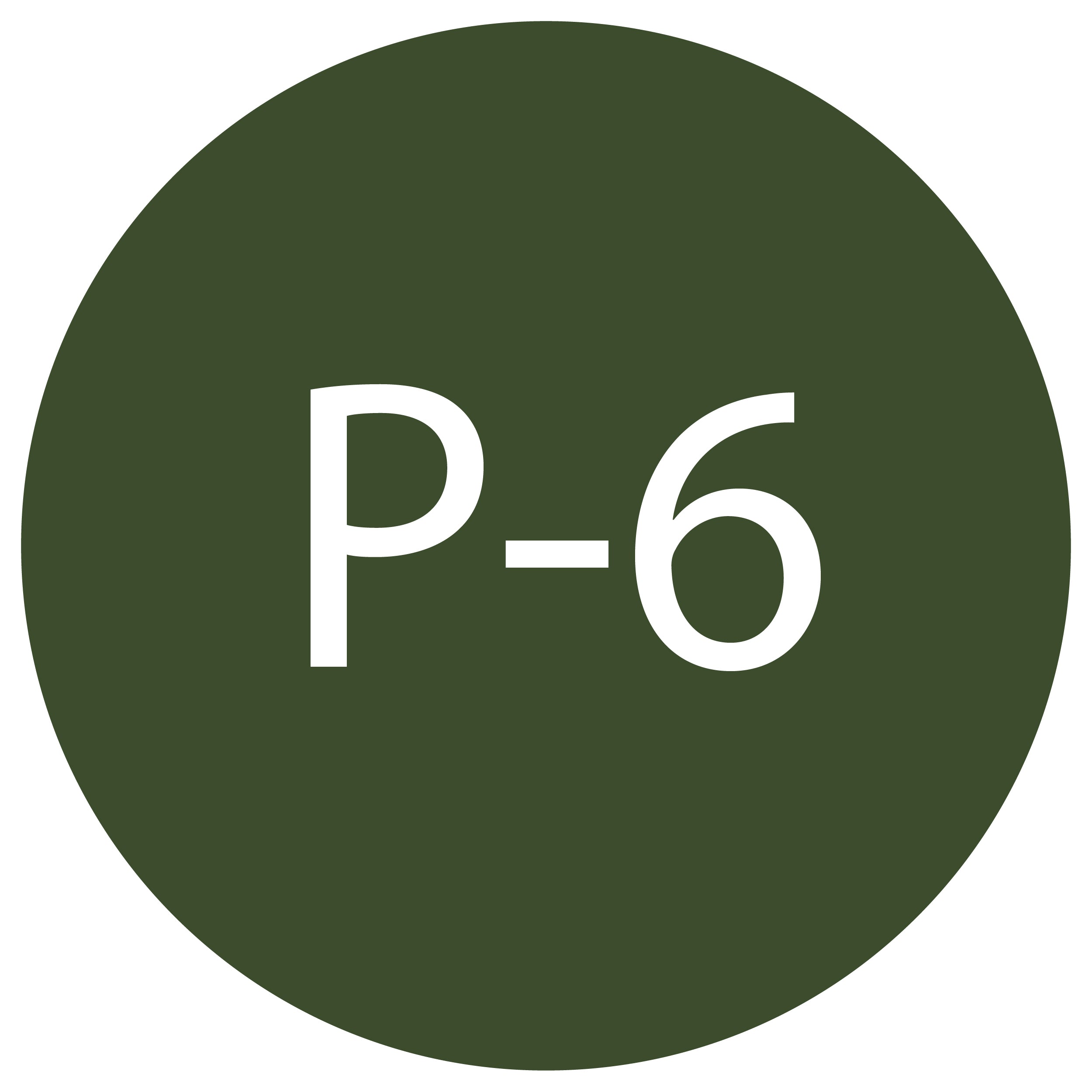 P-6
