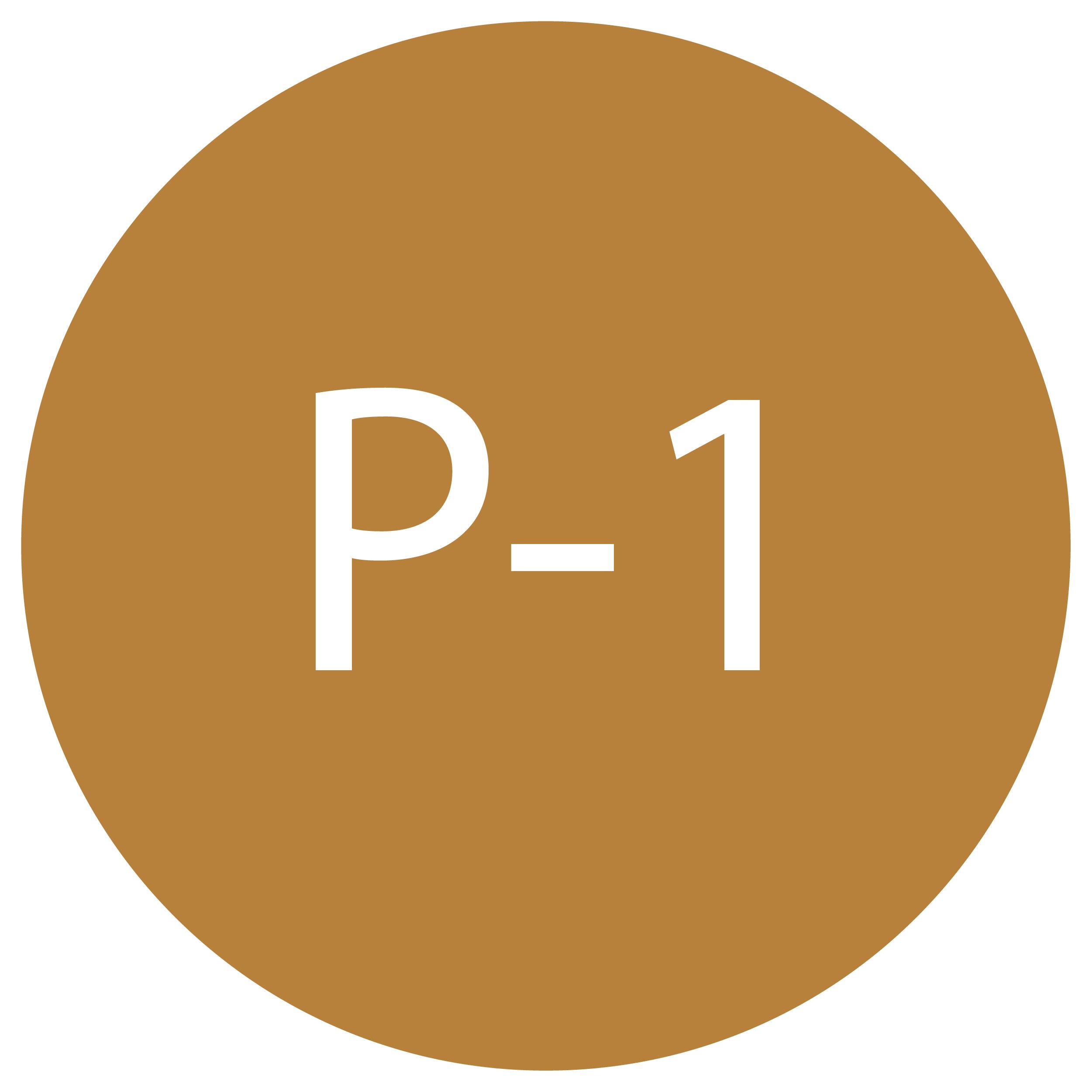 P-1